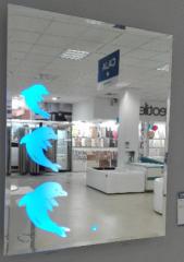 Espejo con Delfines